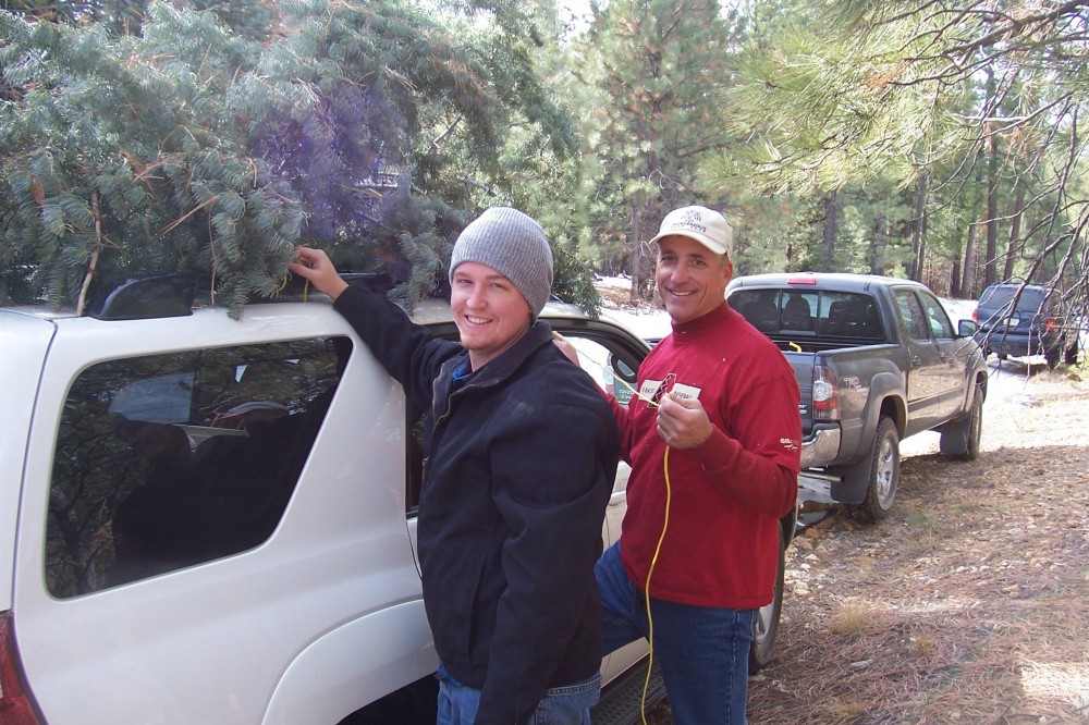 Product Sampling in the Forest Product Sampling in the Forest