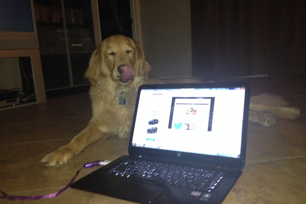We need you…. To VOTE! We need you…. To VOTE!