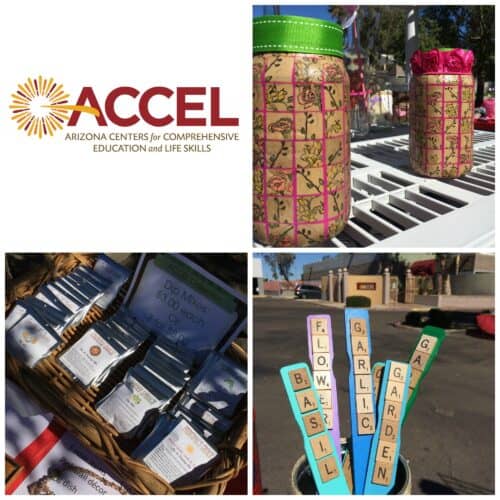 ACCEL’s BIG Summer Sidewalk Sale!
