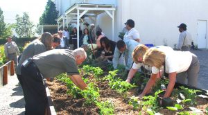 Caesars Entertainment