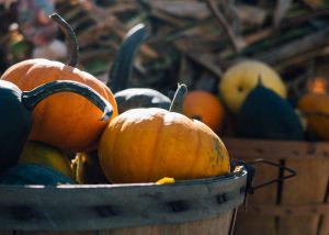 #FunFactFriday – October