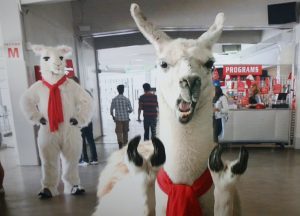 Event Media Attendance