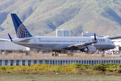 United Airlines Dog Disaster