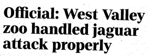 Wild Animals Will Attack Humans