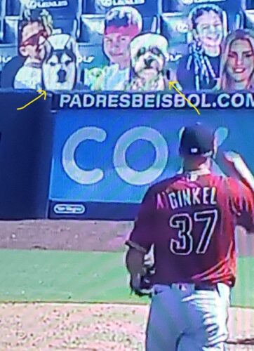 Have We Had Enough of ‘Fake?’