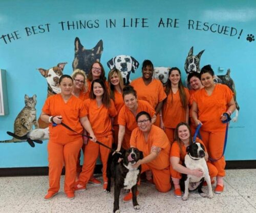 Maricopa Animal Safe Haven Launches in Phoenix; Announces Campaign to Raise $8.5 Million for New Phoenix Facility