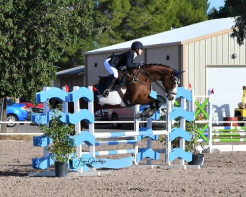 #MediaMonday – Sondra Barr