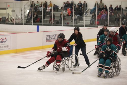 Arizona One Step Coyotes Will Take the Ice at the Arizona Cactus Cup January 15