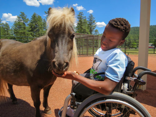Whispering Hope Ranch Foundation Awarded More Than $230,000 from Mercy Care to Support Nature’s Nurses Program