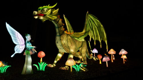 First-Ever Tianyu Lights Festival Comes to Phoenix Oct. 25, 2024 to Jan. 5, 2025; Early-Bird Tickets are Now Available for Night Time Walk-Through Experience
