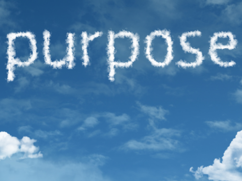 Purpose-Driven PR for Businesses
