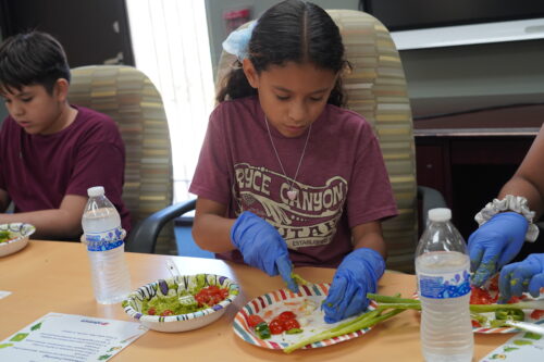 Advance Community Receives $35,000 Grant from Thunderbirds Charities for I Choose Wellness Program