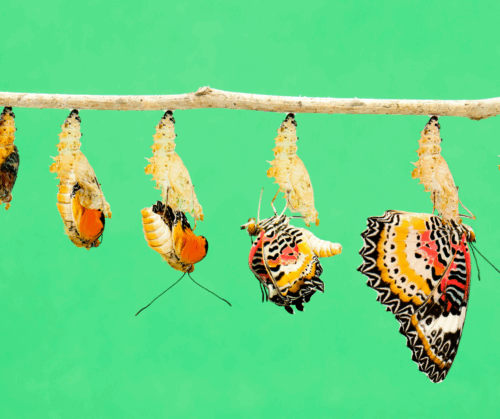 Everything Is Changing, But How?