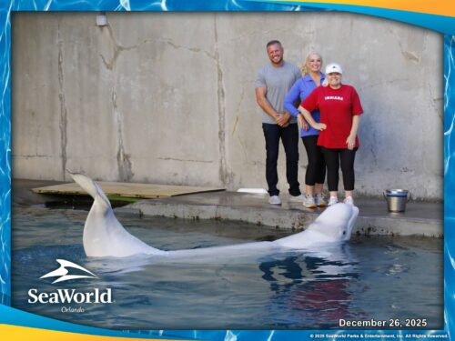 What SeaWorld Orlando Taught Me About Public Relations