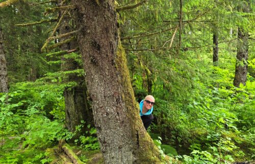 What Alaska Can Teach Us About Public Relations